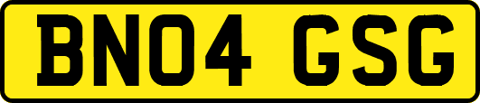 BN04GSG