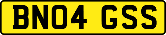 BN04GSS
