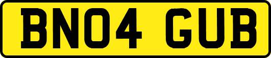 BN04GUB
