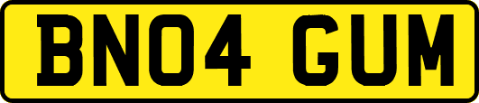 BN04GUM