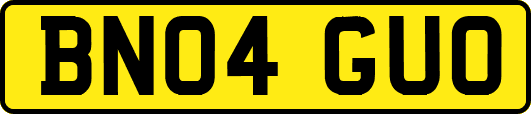 BN04GUO