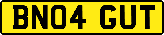 BN04GUT