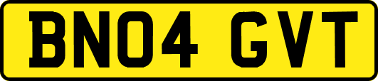 BN04GVT