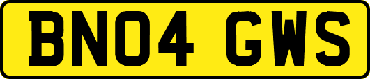 BN04GWS