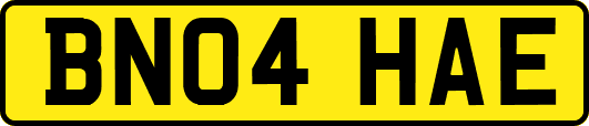 BN04HAE
