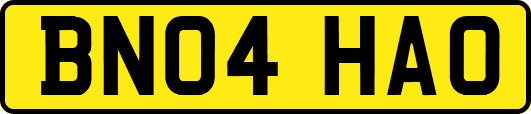 BN04HAO