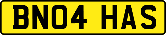 BN04HAS