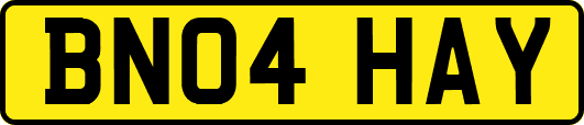 BN04HAY