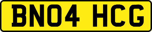 BN04HCG