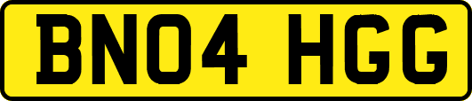 BN04HGG
