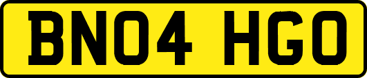 BN04HGO