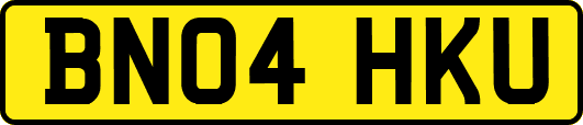 BN04HKU