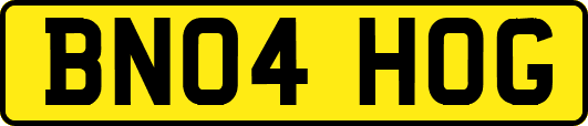BN04HOG