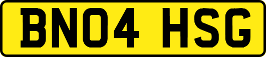 BN04HSG