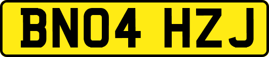BN04HZJ