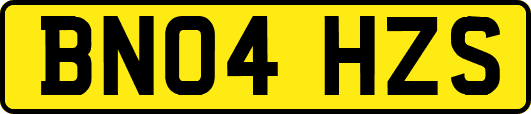 BN04HZS