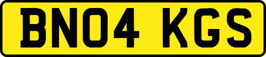 BN04KGS