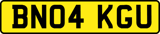 BN04KGU