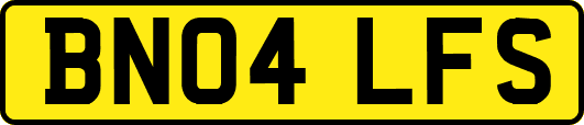 BN04LFS