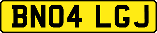 BN04LGJ