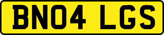 BN04LGS