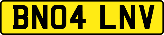BN04LNV