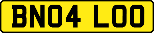 BN04LOO