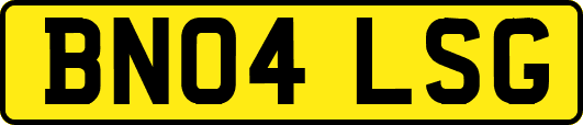 BN04LSG