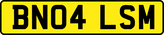 BN04LSM