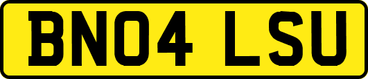 BN04LSU