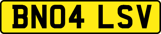 BN04LSV