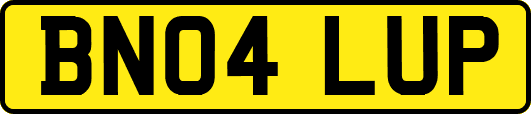 BN04LUP