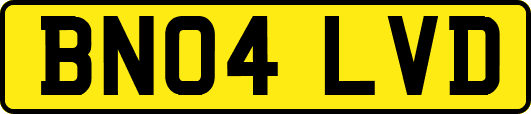 BN04LVD