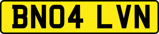 BN04LVN