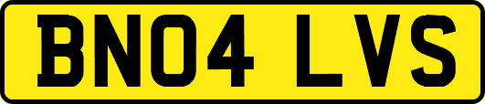 BN04LVS