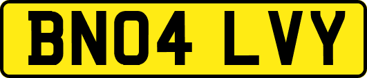 BN04LVY