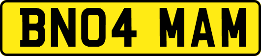 BN04MAM