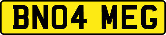 BN04MEG