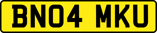 BN04MKU