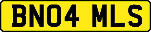 BN04MLS
