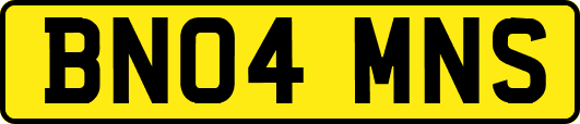 BN04MNS