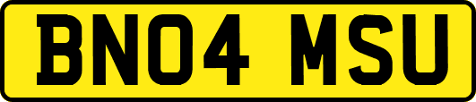BN04MSU