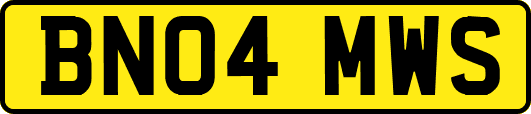 BN04MWS