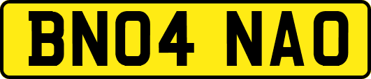 BN04NAO