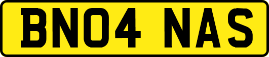 BN04NAS