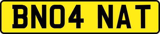BN04NAT