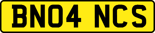 BN04NCS