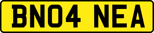 BN04NEA