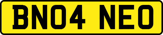 BN04NEO