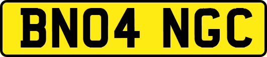 BN04NGC
